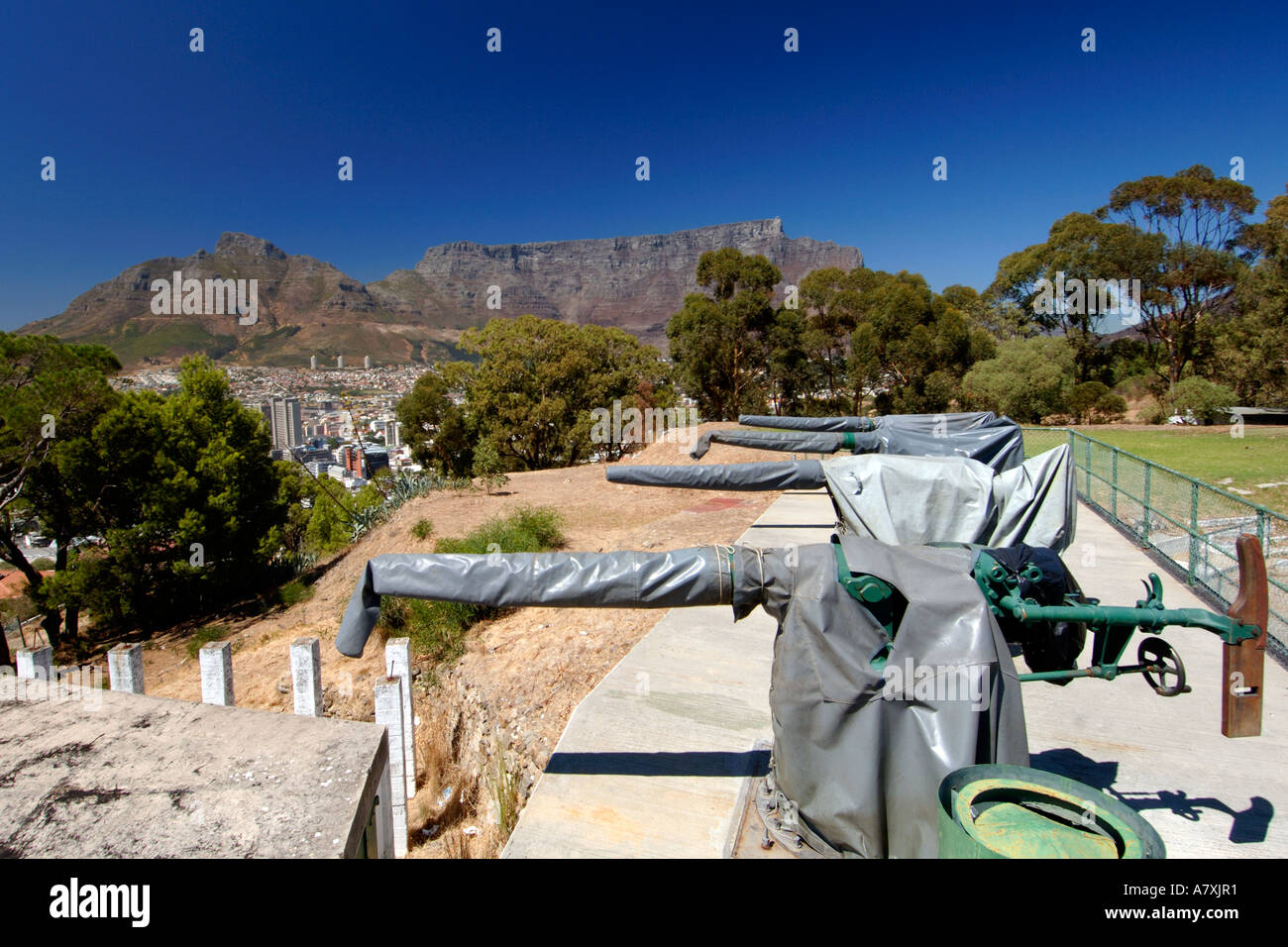 Le quattro 12-pounder pistole a batteria Lion su Signal Hill a Cape Town. Essi sono utilizzati per 21-gun saluta. Foto Stock
