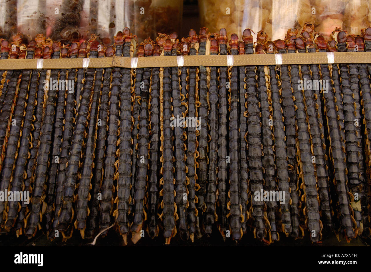 Millepiedi essiccati in Kunming medicina tradizionale mercato. Nella provincia dello Yunnan in Cina Foto Stock