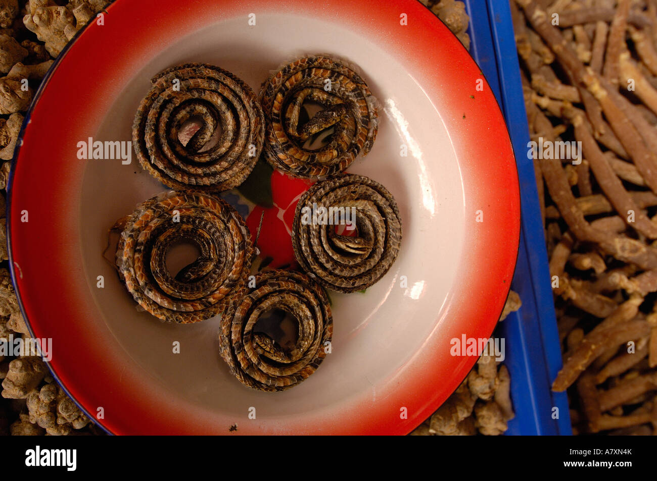 Serpenti essiccati in Kunming medicina tradizionale mercato. Nella provincia dello Yunnan in Cina Foto Stock