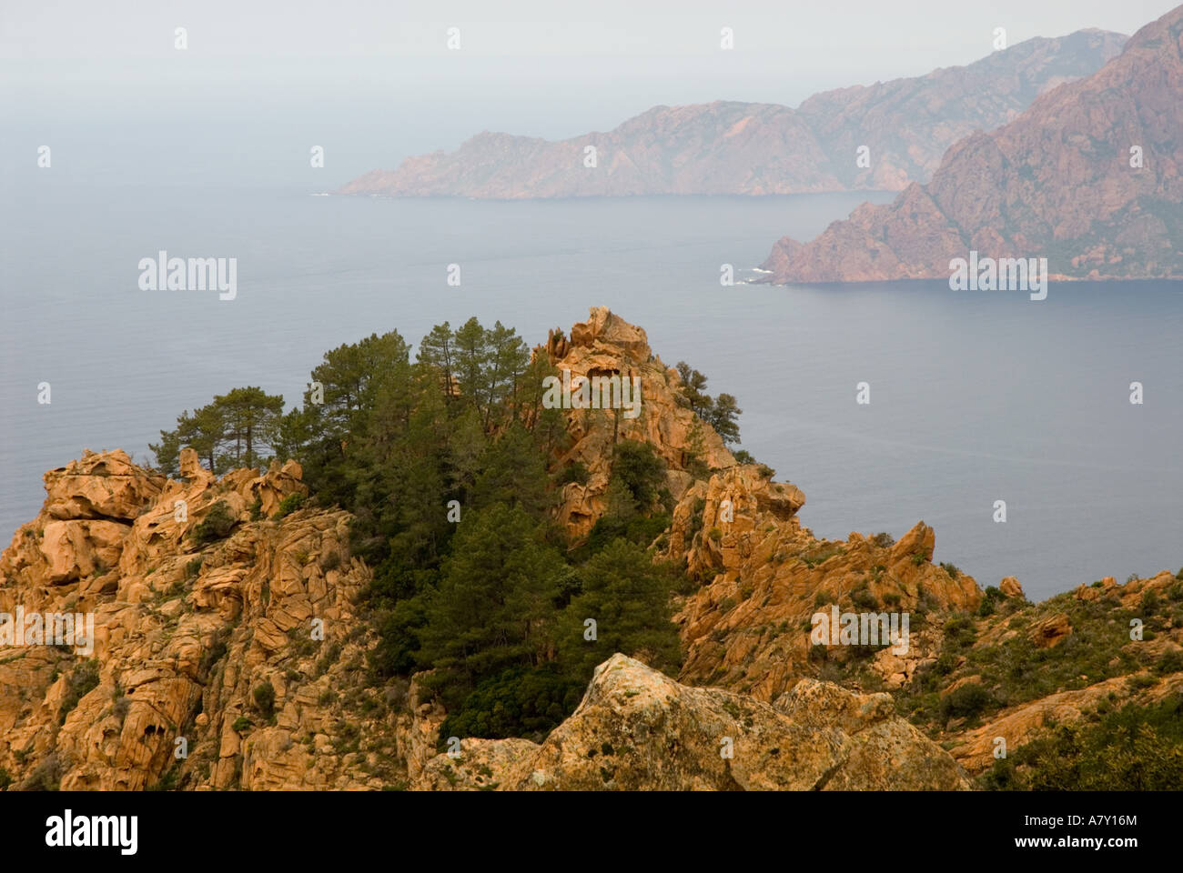 L'Europa, Francia, Corsica, Piana. Vista su Les Calanches e Golfe de Porto dal sentiero escursionistico in Foret de Piana Foto Stock