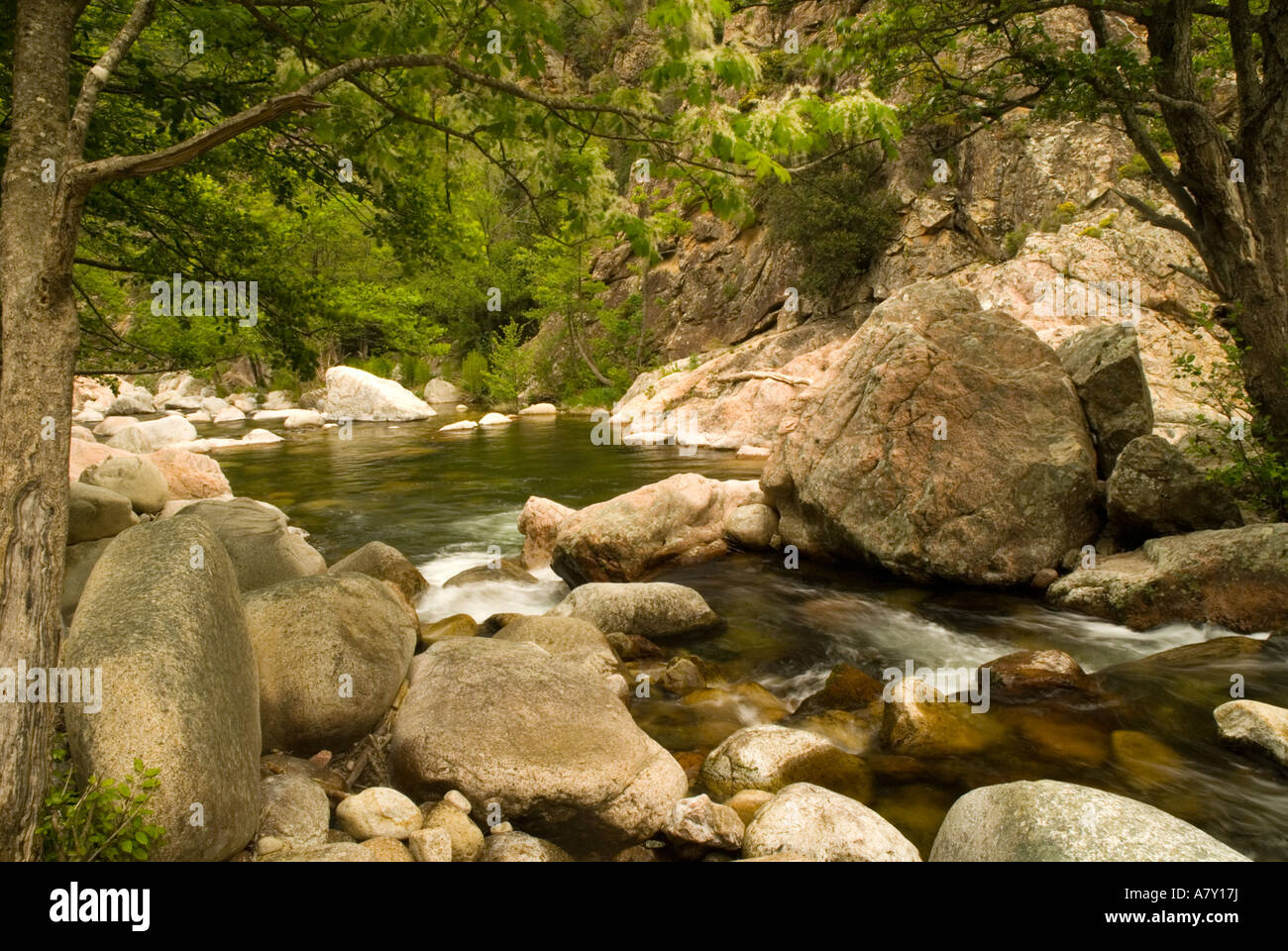 L'Europa, Francia, Corsica, Gorges de Spelunca. Sezione serena del river gorges tra Ota e Evisa Foto Stock