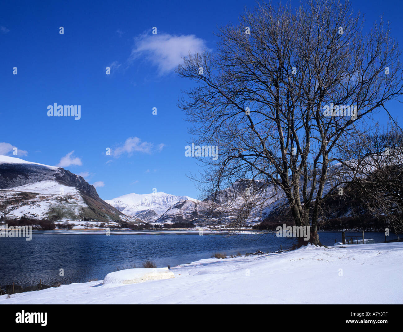 LLYN NANTLLE UCHAF con neve e Snowdon Yr Wyddfa sul lago in inverno. Nantlle Gwynedd Snowdonia North Wales UK Foto Stock