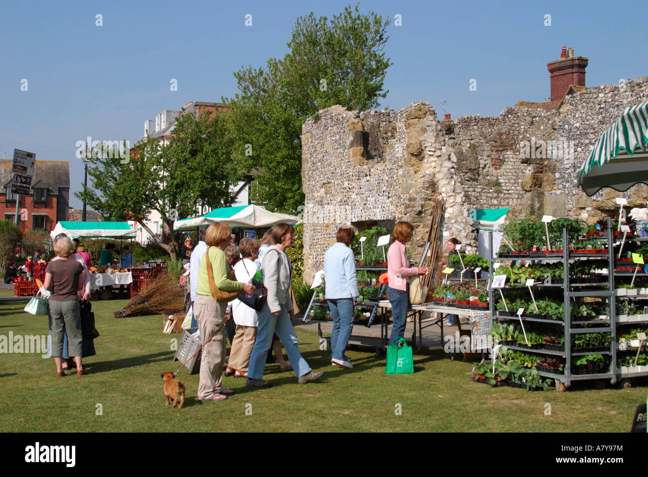 Persone che acquistano cibo in un tradizionale mercato Inglese Degli Agricoltori, Arundel, West Sussex, UK Foto Stock