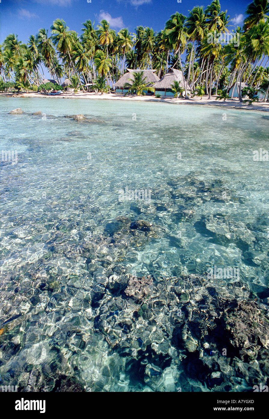 Francia, Polinesia francese, Manihi atoll, isolotto (motu) in laguna Foto Stock