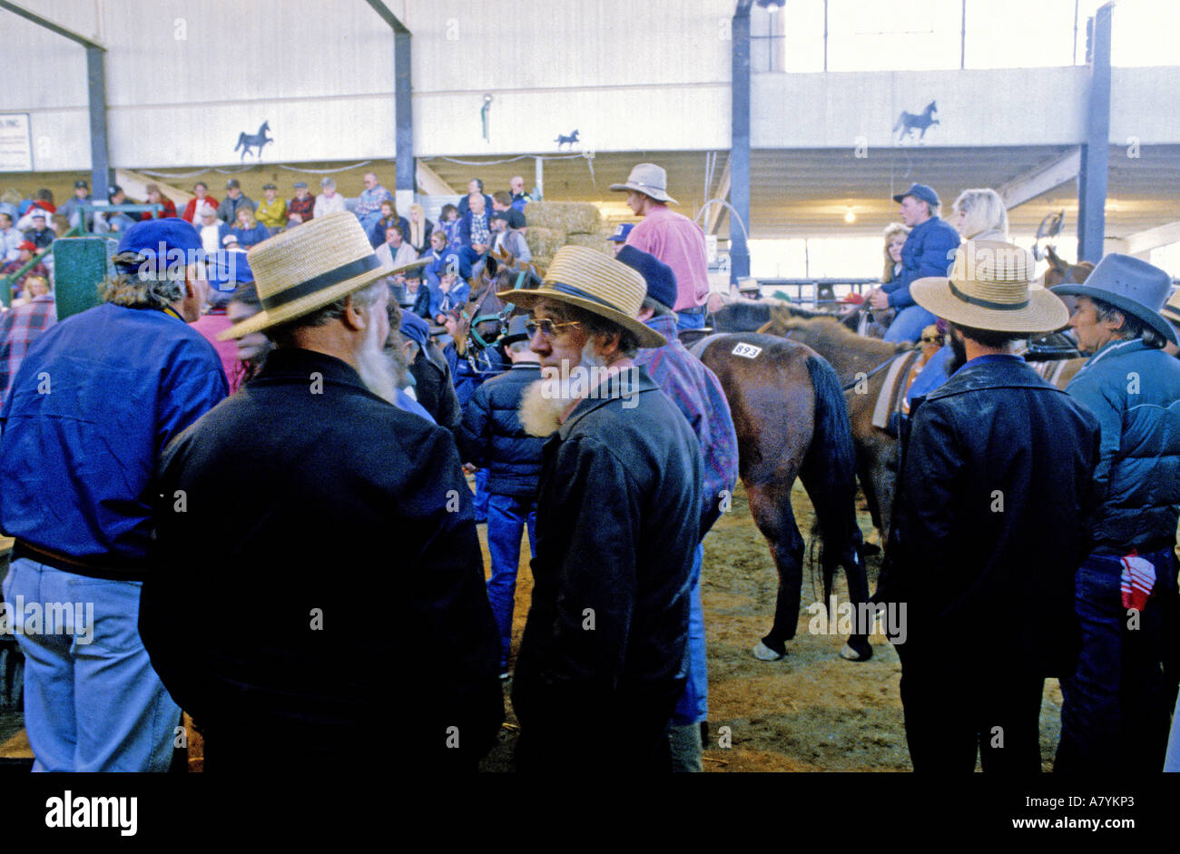 Stati Uniti, Pennsylvania, il Lancaster County amish, Amish Allevatori Cavalli di acquisto New Holland mercato all'ingrosso Foto Stock