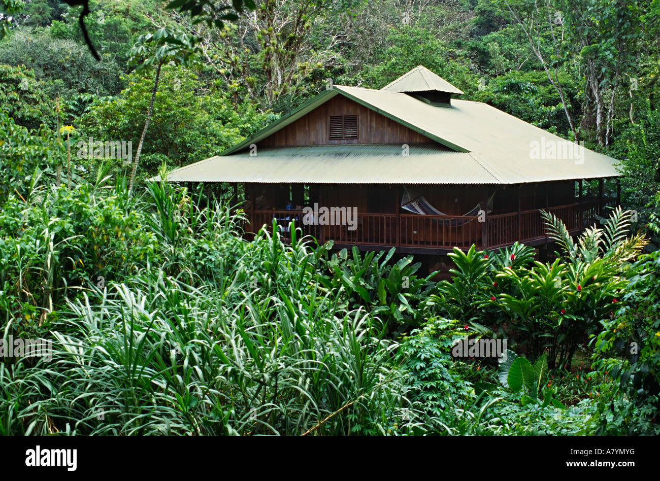 America centrale, Costa Rica. Heredia, Chilamate. Selva Verda Lodge. Foto Stock