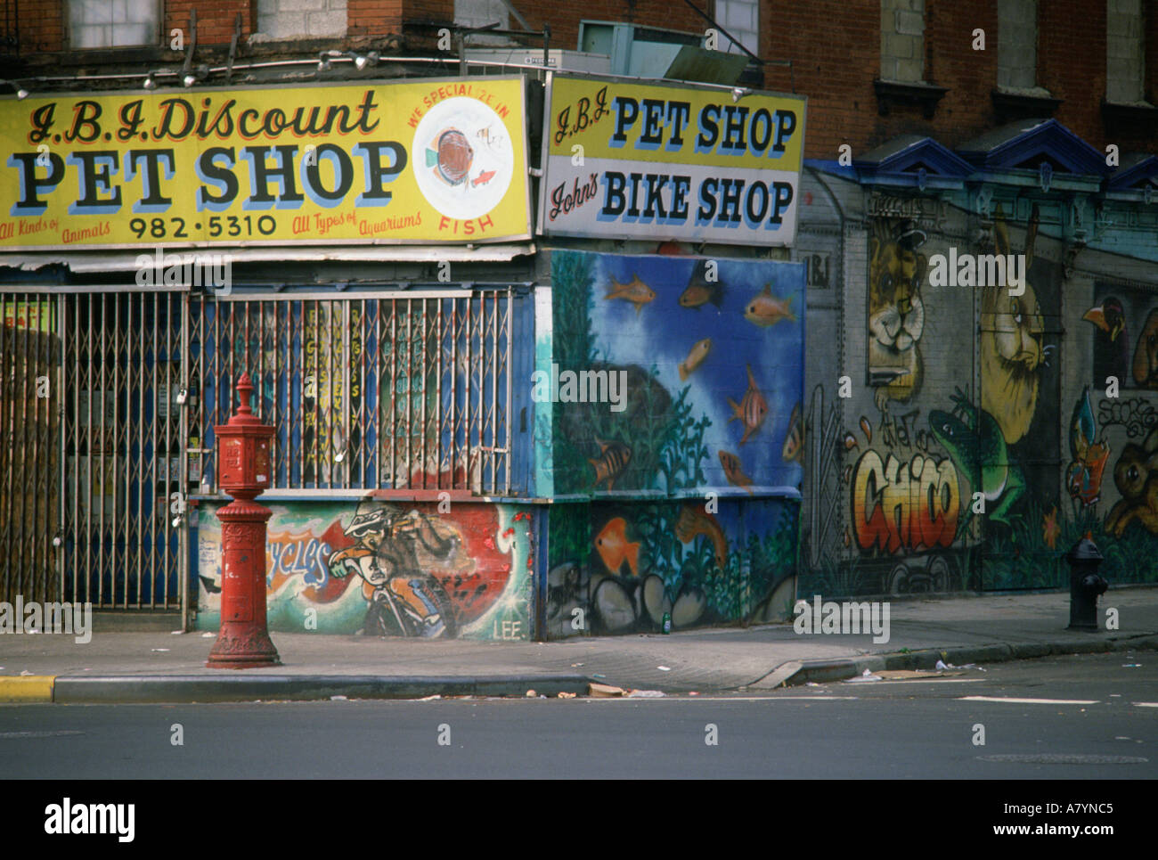 Graffiti su pet shop negozio di biciclette Lower East Side di Manhattan N Y C 1988 Foto Stock