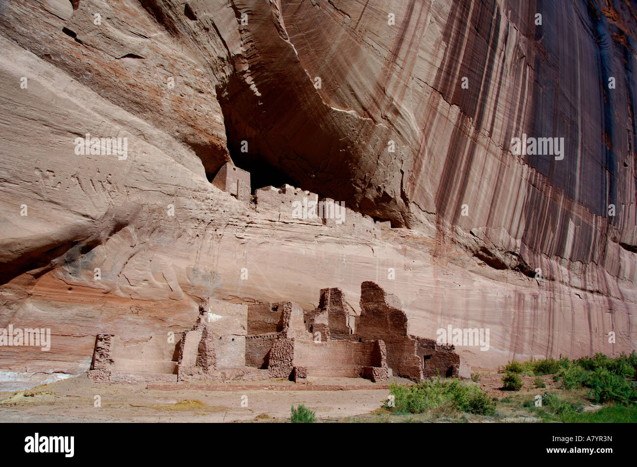 Nord America, USA, Arizona, Navajo Indian Reservation, Chinle Canyon De Chelly monumento nazionale. Punto di riferimento della Casa Bianca rovine. Foto Stock