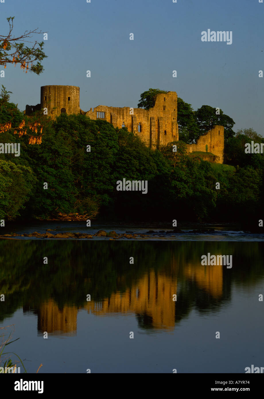 Barnard Castle e fiume tees teesdale county durham regno unito Foto Stock