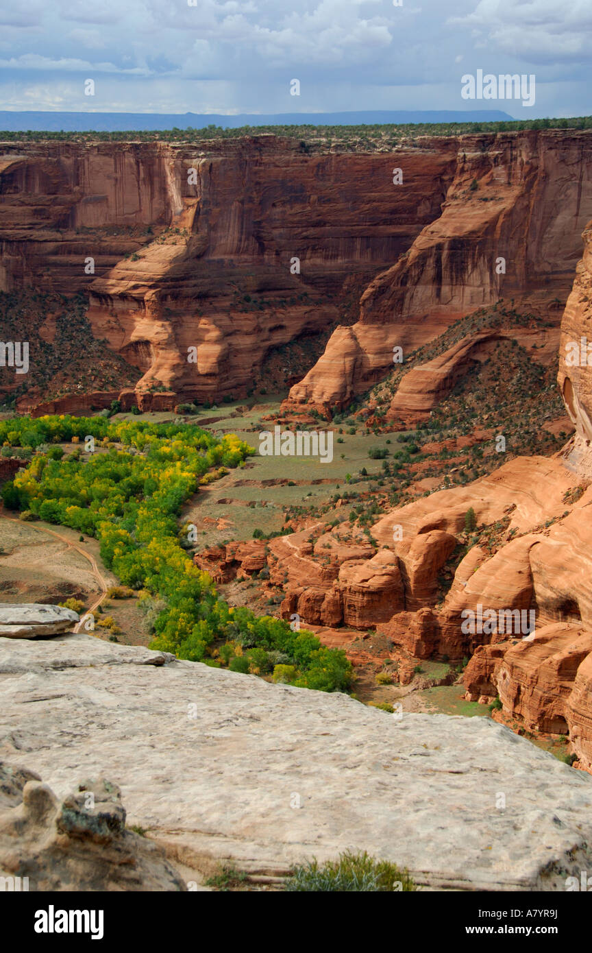 Nord America, USA, Arizona, Navajo Indian Reservation, Chinle Canyon De Chelly monumento nazionale. South Rim Road si affacciano. Foto Stock