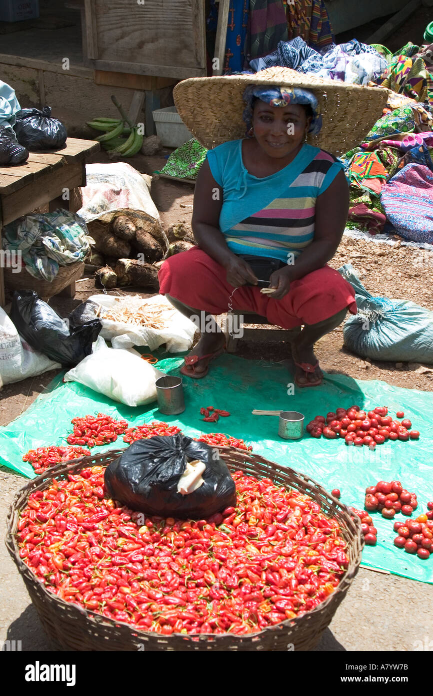 Donna commerciante con lumache giganti dell'Africa occidentale per la vendita Su cestino di peperoncini freschi in Bogoso all'aperto Mercato alimentare Ghana occidentale Foto Stock