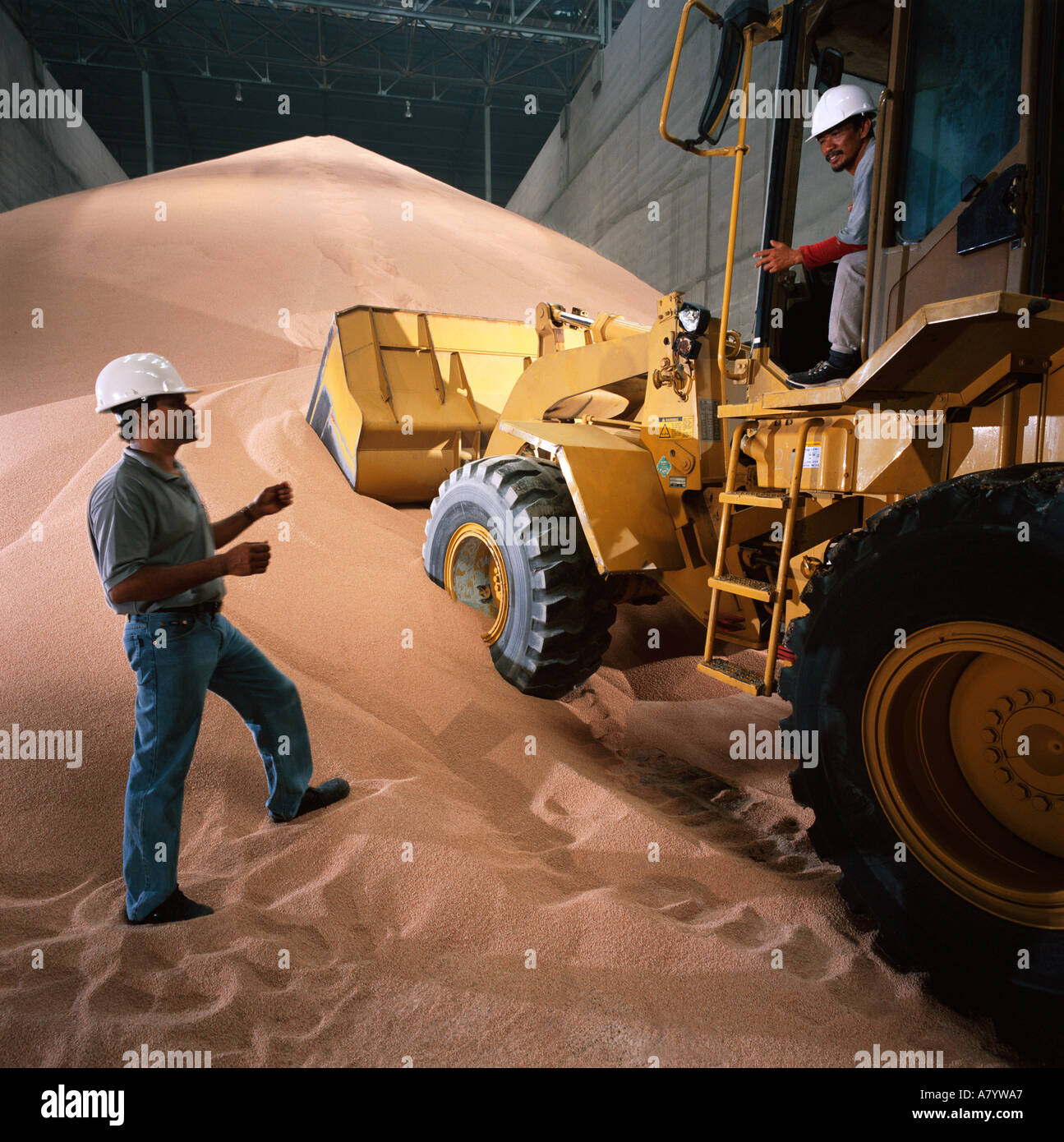 Lo stoccaggio in bulk warehouse per concimi a base di nitrato di ammonio in Malesia Foto Stock