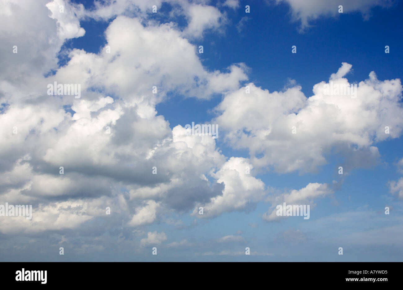 Cielo blu con nuvole cumulus Foto Stock