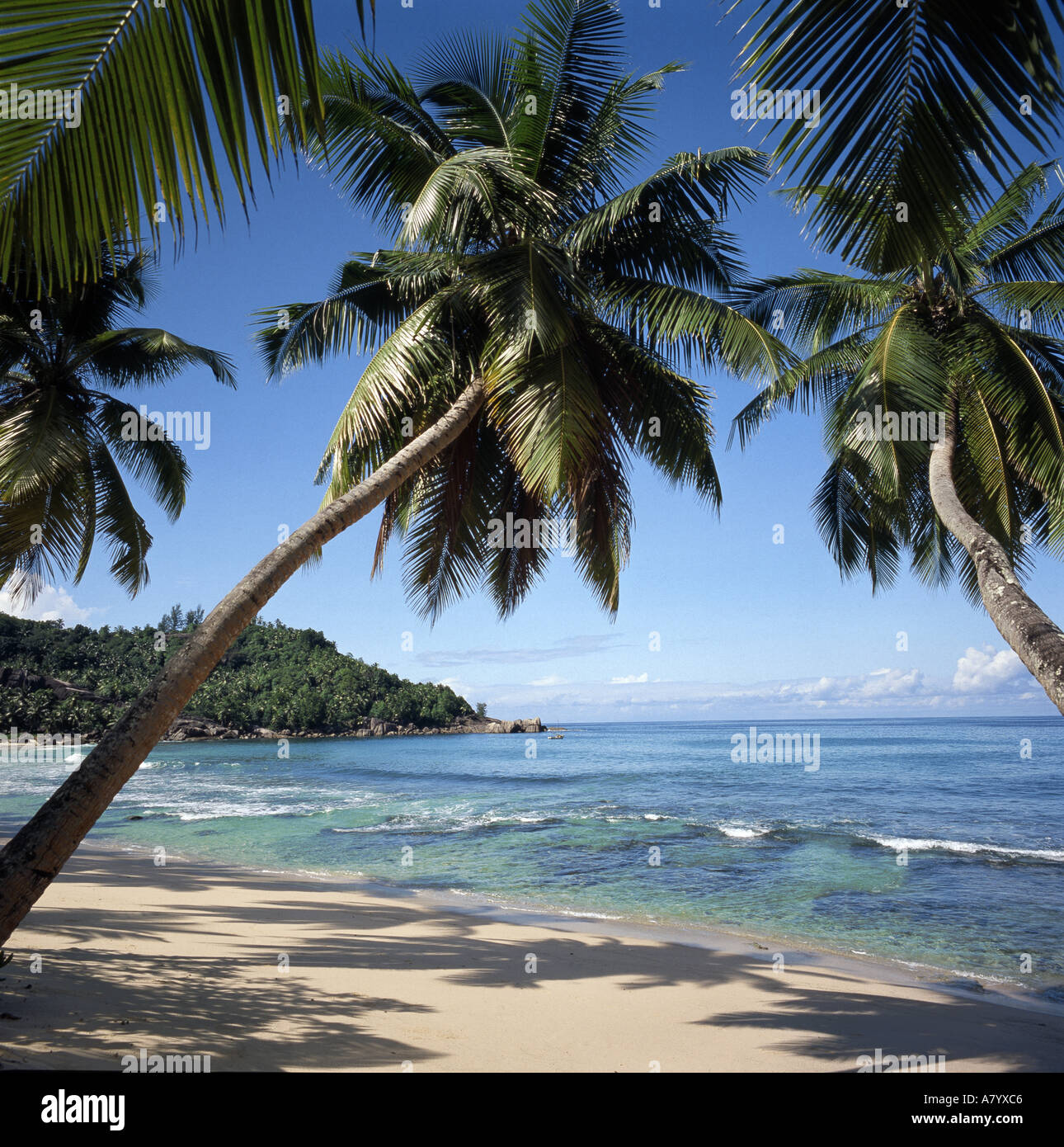 Anse Takamaka Beach Mahé isola delle Seychelles, Oceano Indiano Foto Stock