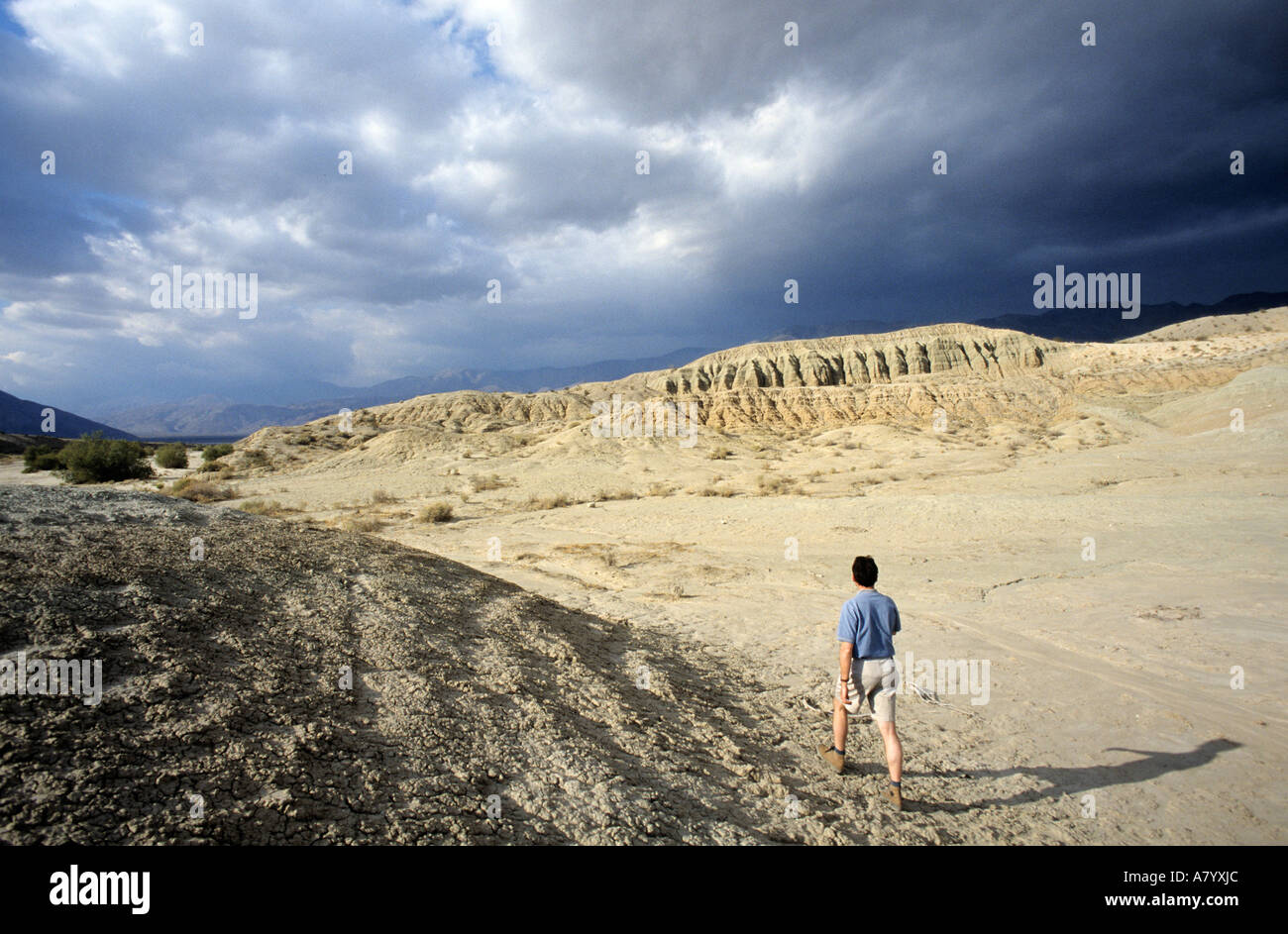 Gli Stati Uniti, California, Parco Nazionale dell'Anza Borrego Desert, il rilievo irrequieto di Badlands Foto Stock