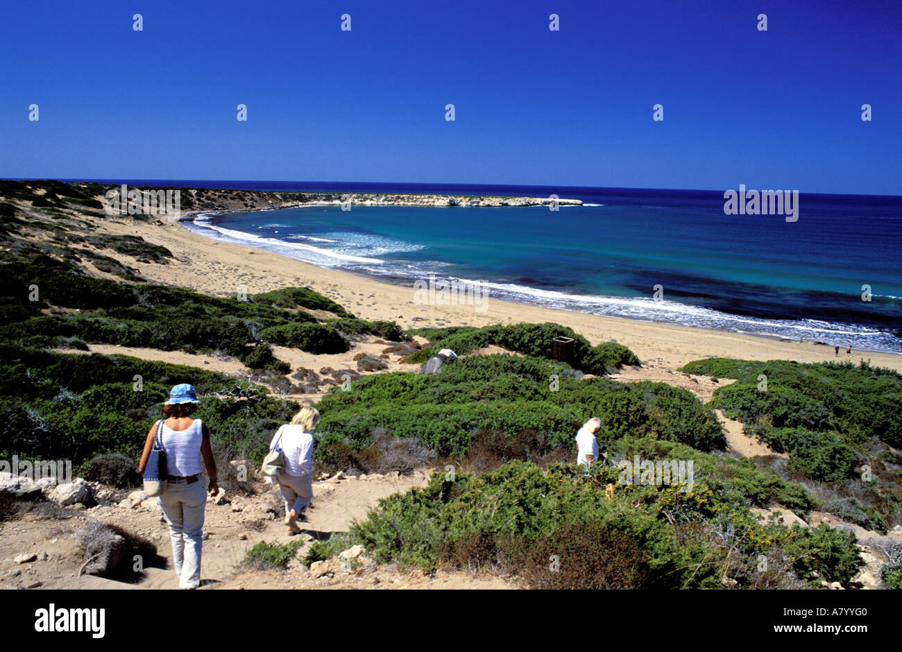 Cipro, Pafos District, la penisola di Akamas, Lara Bay beach Foto Stock