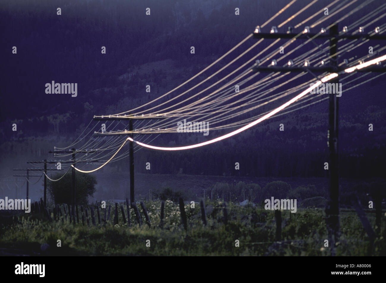 Soleggiato potere incandescente e linee telefoniche Wyoming Foto Stock