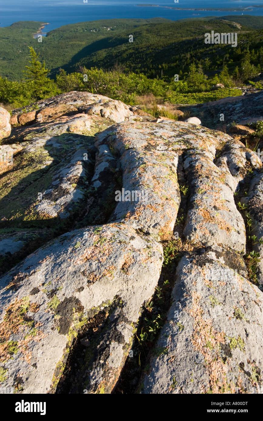 Striature glaciale su Cadillac Mountain nel Maine il Parco Nazionale di Acadia. Mount Desert Island. Foto Stock