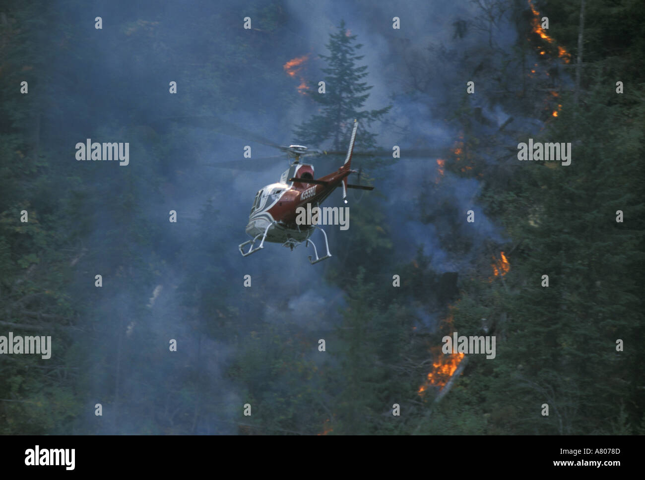 USFS combustione controllata degli incendi di foreste di Flathead National Forest Montana Foto Stock