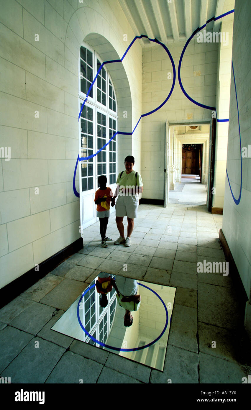 Francia, Deux Sèvres, Oiron castello del XVI e XVII secolo, sala delle Illusioni Foto Stock