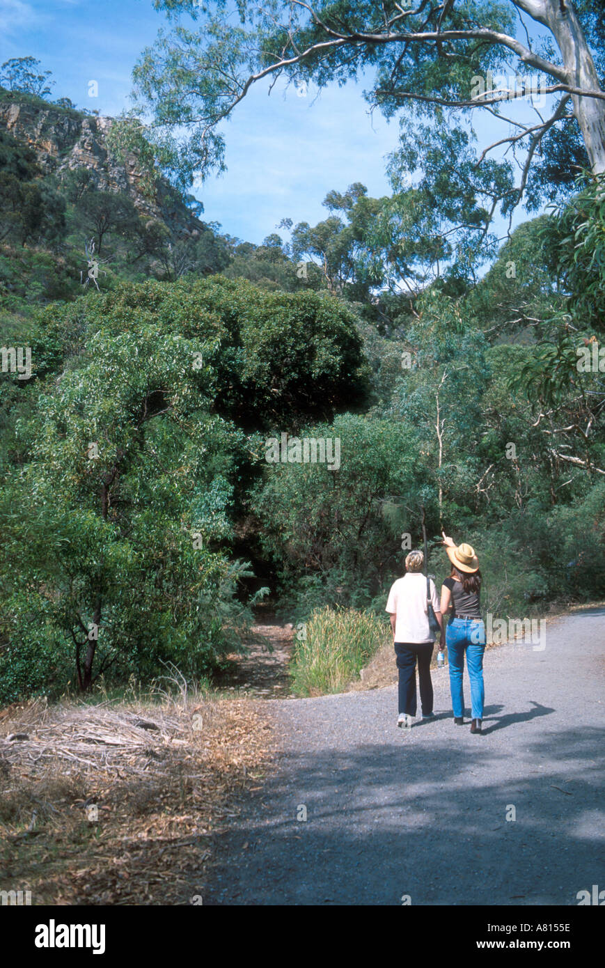 Morialta conservation park vicino a Adelaide Australia del Sud Foto Stock