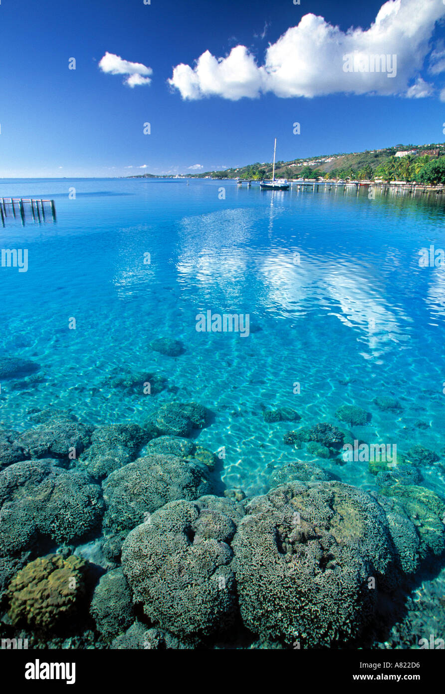 Reef, Punaauia, Tahiti, Polinesia Francese Foto Stock