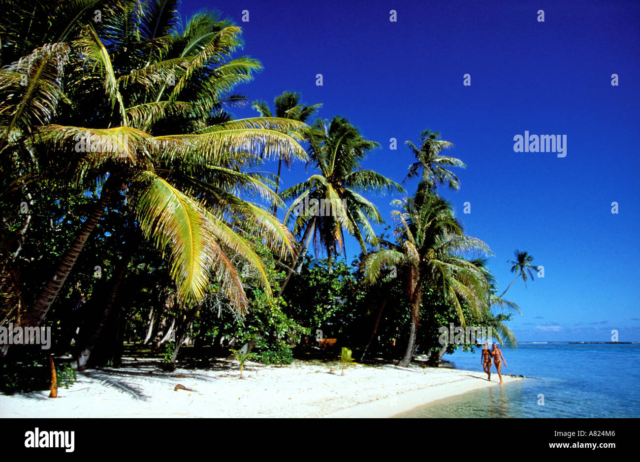 Francia Polinesia francese Isole della Società, Isole Sottovento, Vahine island hotel nel cuore dell'oceano pacifico Foto Stock