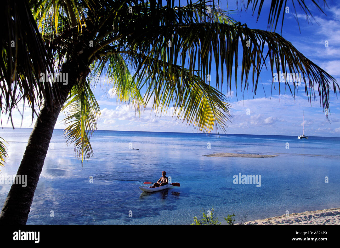 Francia Polinesia francese Isole Tuamotu, Rangiroa, isola corallina Foto Stock