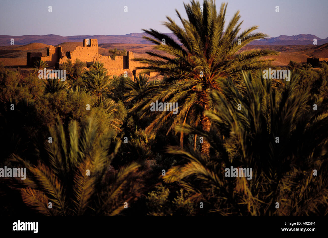 Il Marocco, Alto Atlante Foto Stock