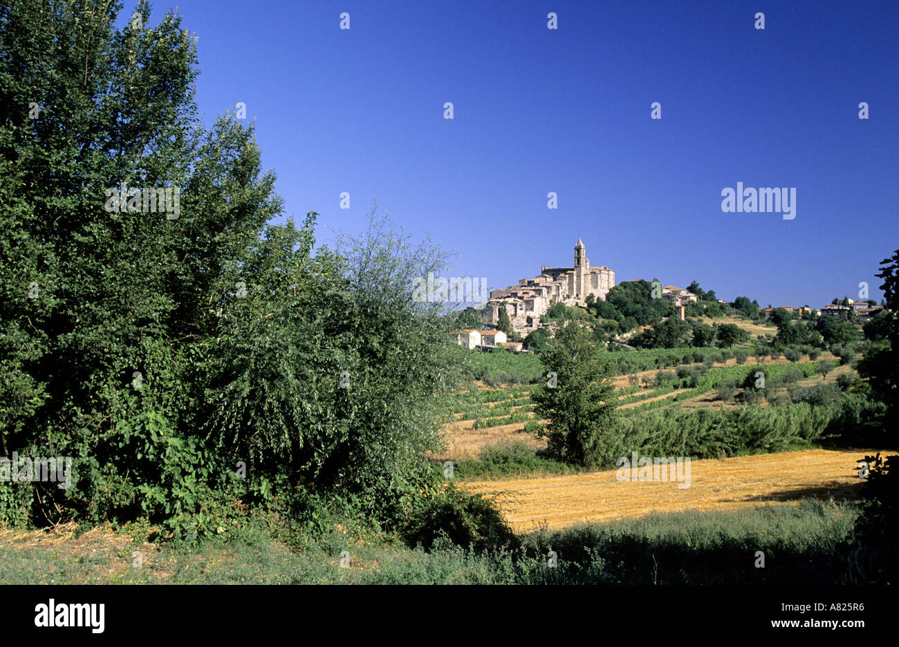 L'Italia, Regione Umbria, un villaggio vicino alla città di Orvieto Foto Stock