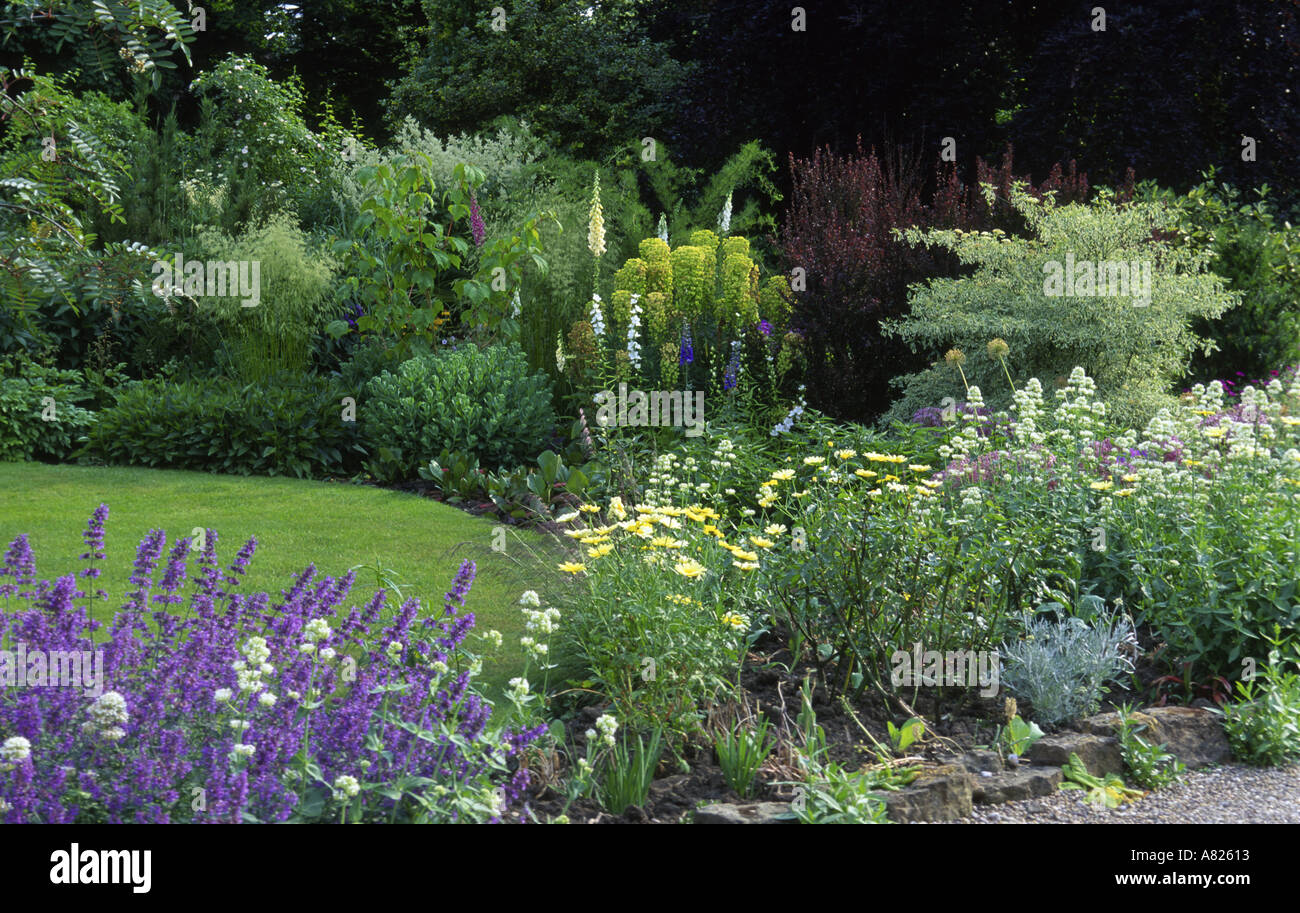 Nepeta Six Hills gigante e Centranthus rubra alba la Casa Bianca Notts Foto Stock