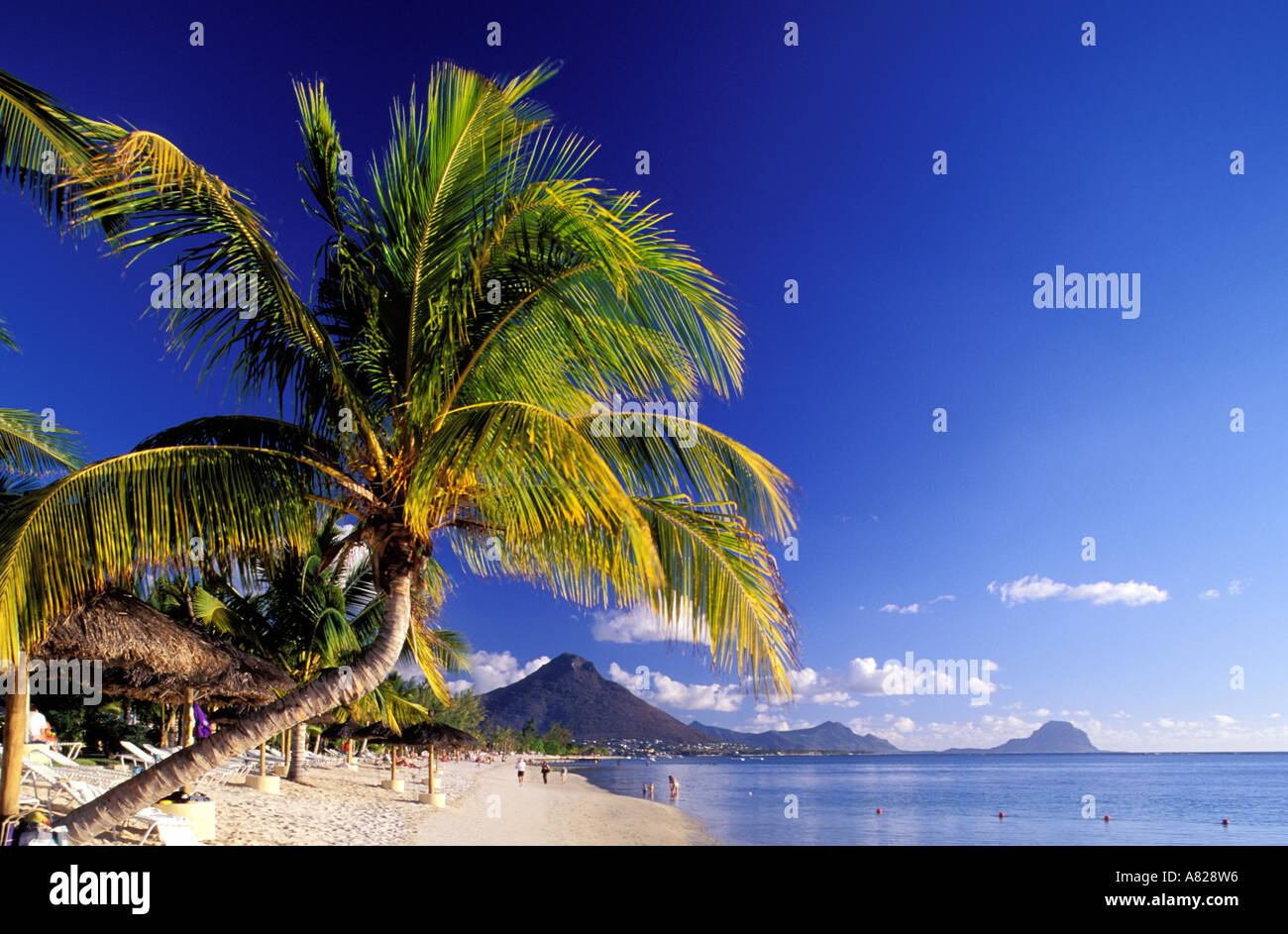 Maurizio Costa Occidentale, Sugar Beach Resort beach Foto Stock