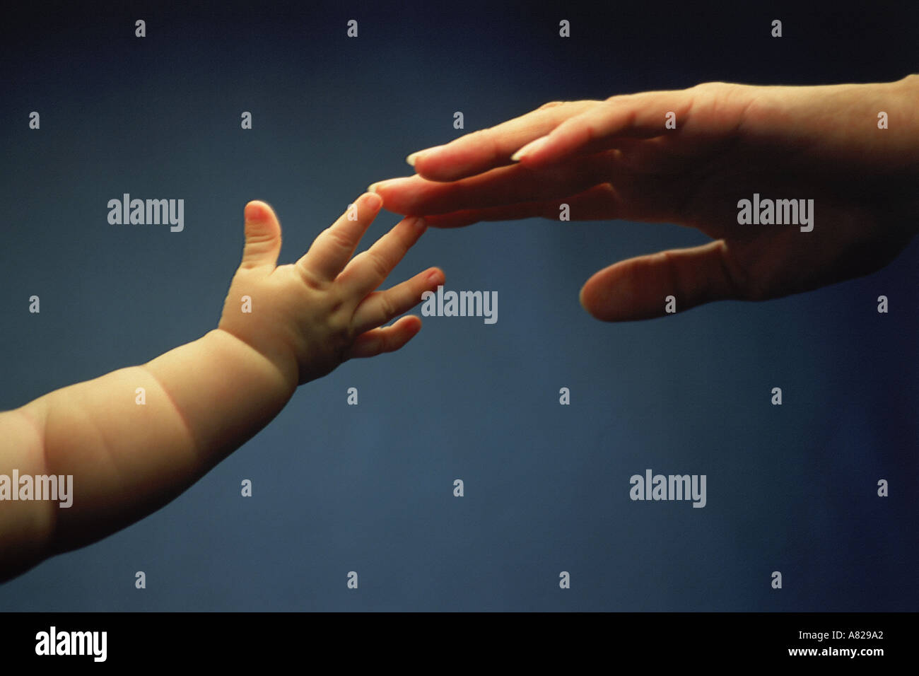 La madre e il bambino per raggiungere ogni altro amore toccando la tenerezza Foto Stock