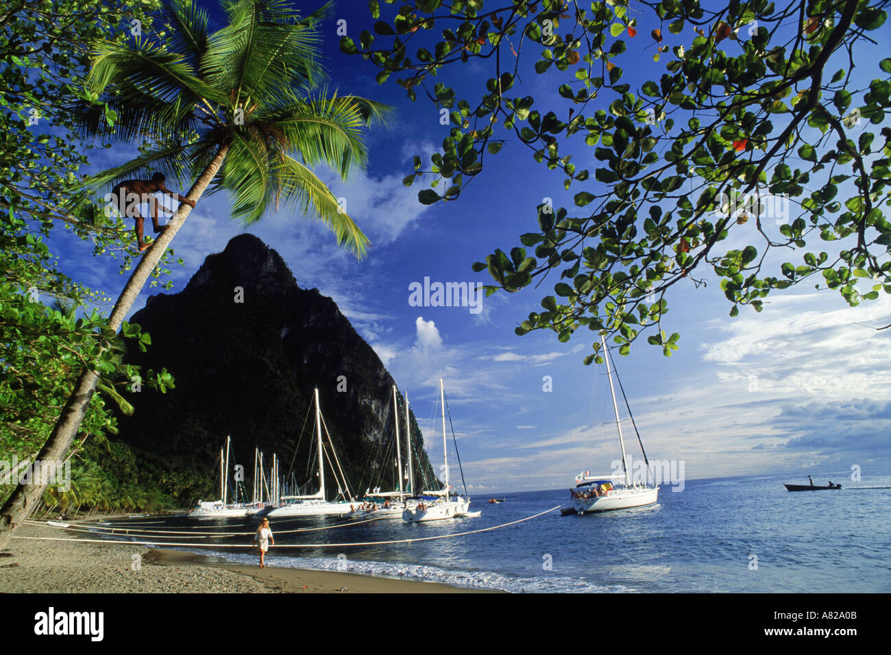 Donna che cammina sulla riva sabbiosa a Margretoute baia sottostante Petit Piton su St Lucia isola in West Indies Foto Stock