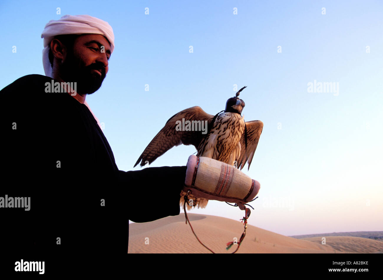 Dubai, Emirati arabi uniti, addestramento Hawk è molto comune negli Emirati Foto Stock