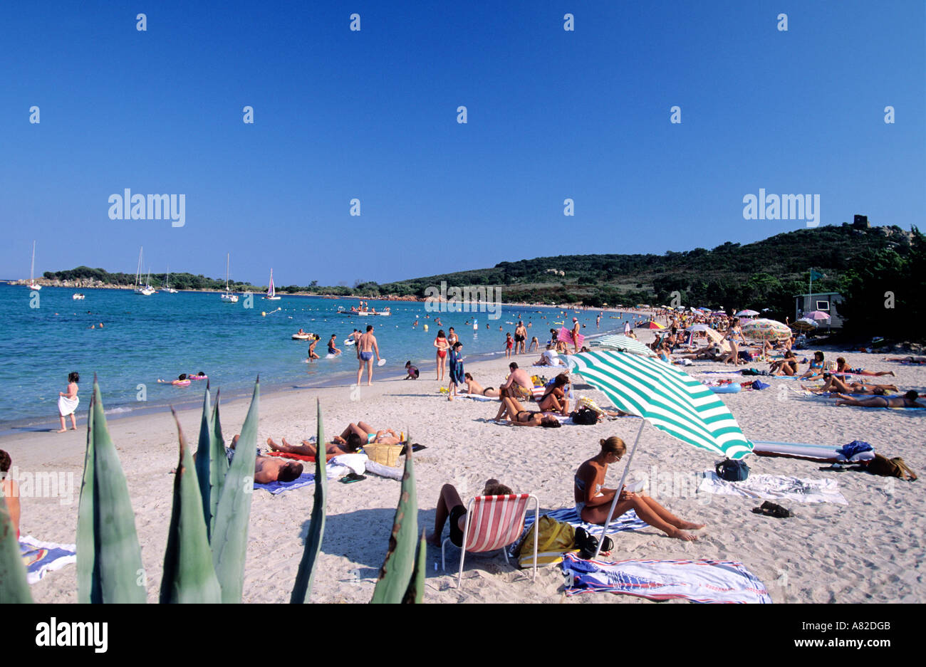 Francia, Corse du Sud, spiaggia vicino al Porto Vecchio Foto Stock