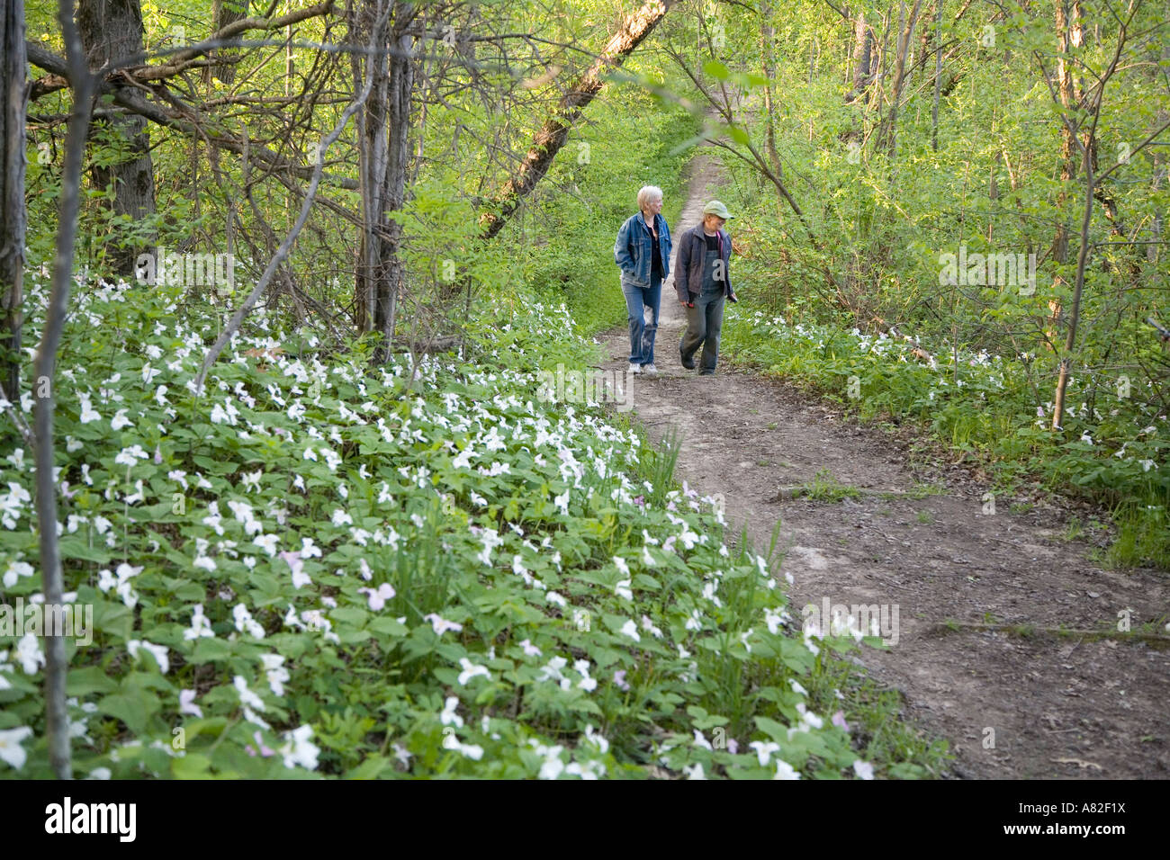 Lake Orion Michigan i visitatori a piedi passato trillium su un sentiero di montagna calva Recreation Area Foto Stock
