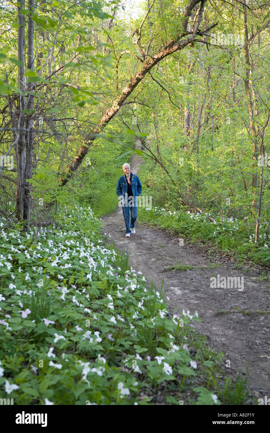 Lake Orion Michigan un visitatore passeggiate passato trillium su un sentiero di montagna calva Recreation Area Foto Stock