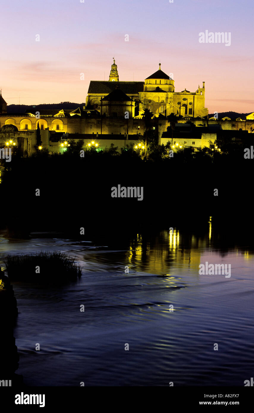 Spagna, Andalusia, Cordoba, la Mezquita vista (Moschea-Cattedrale) e il fiume Guadalquivir Foto Stock