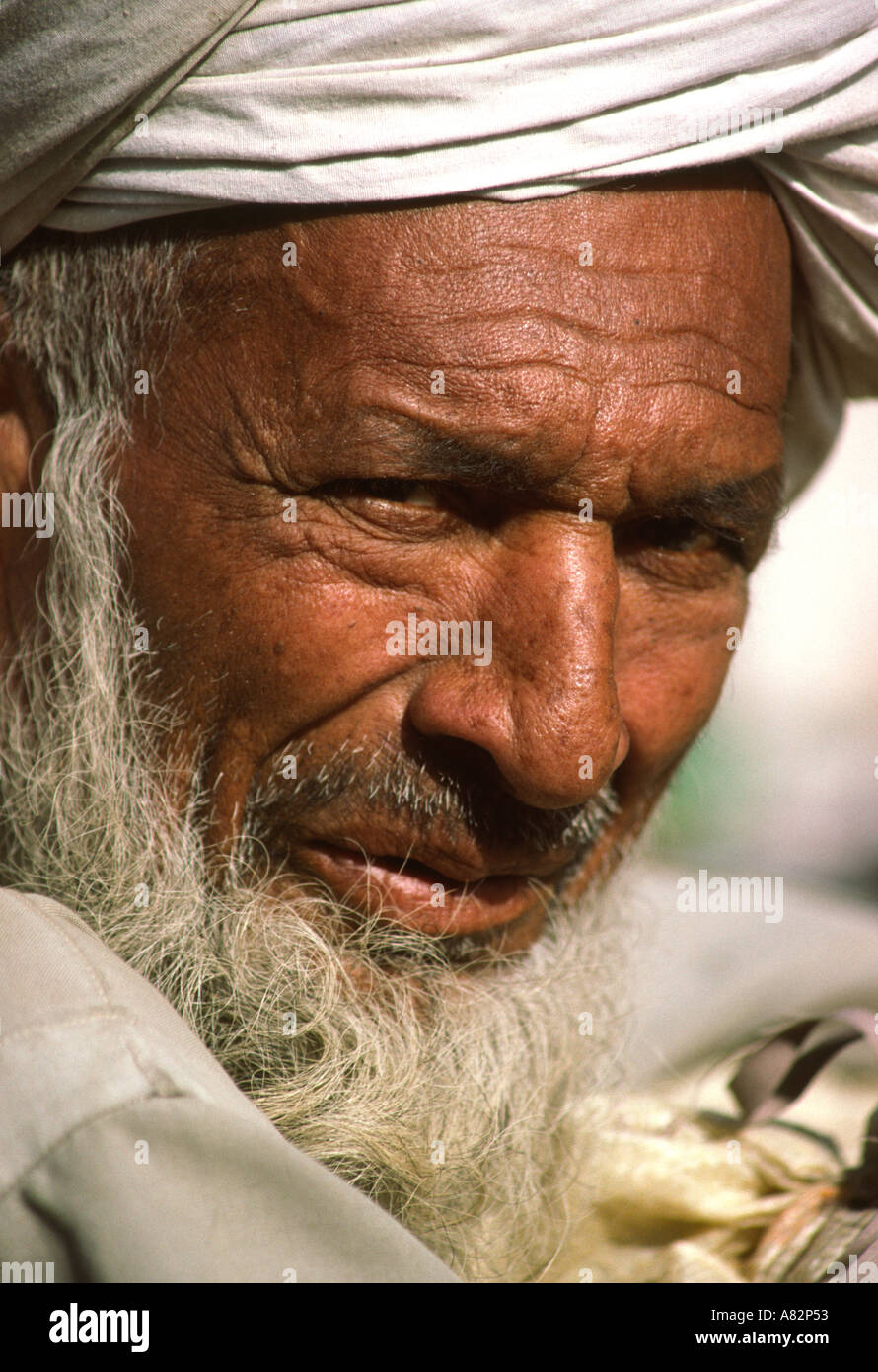 Il Pakistan a sud Punjab Bahawalpur stropicciata faccia del vecchio barbuto Punjabi uomo Foto Stock