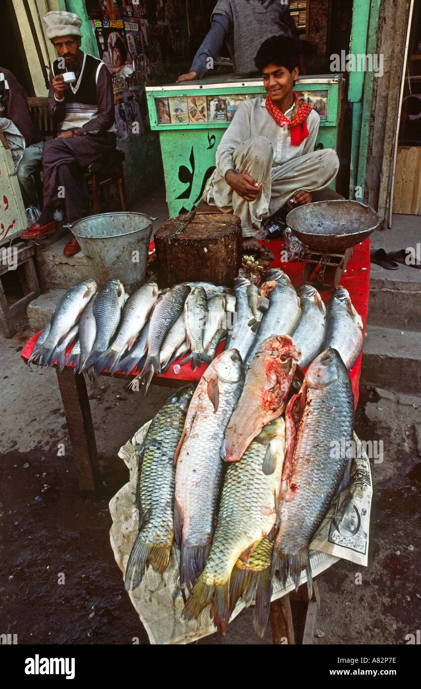 Il Pakistan a sud del Punjab pesce Bahawalpur in vendita a Shahi Bazaar Foto Stock
