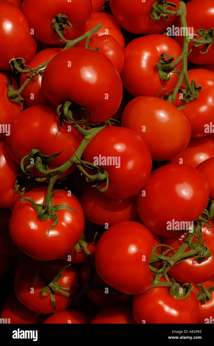 Pomodori sul display sul mercato in stallo Foto Stock