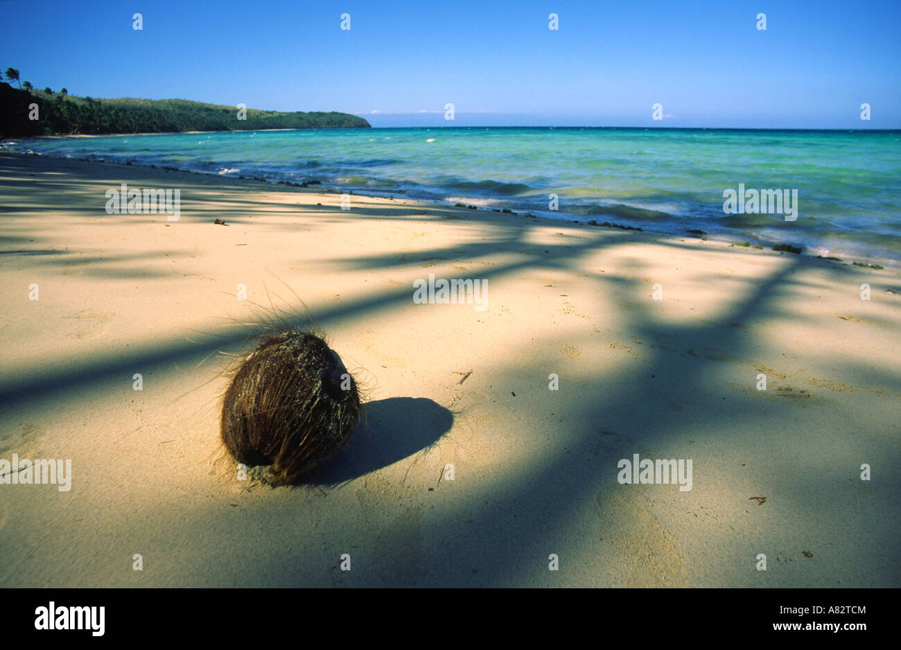 Isole Figi Isole del Sud Pacifico spiaggia solitaria noce di cocco Foto Stock