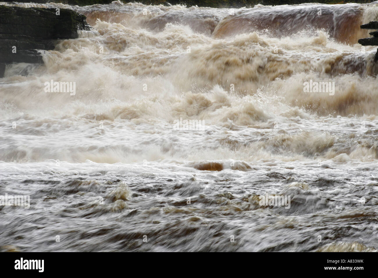 Aysgarth cascate inferiori nel diluvio Foto Stock