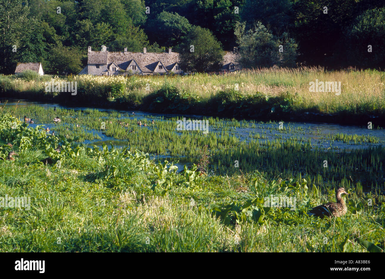 BIBURY. COTSWOLDS. GLOUCESTERSHIRE. In Inghilterra. Foto Stock