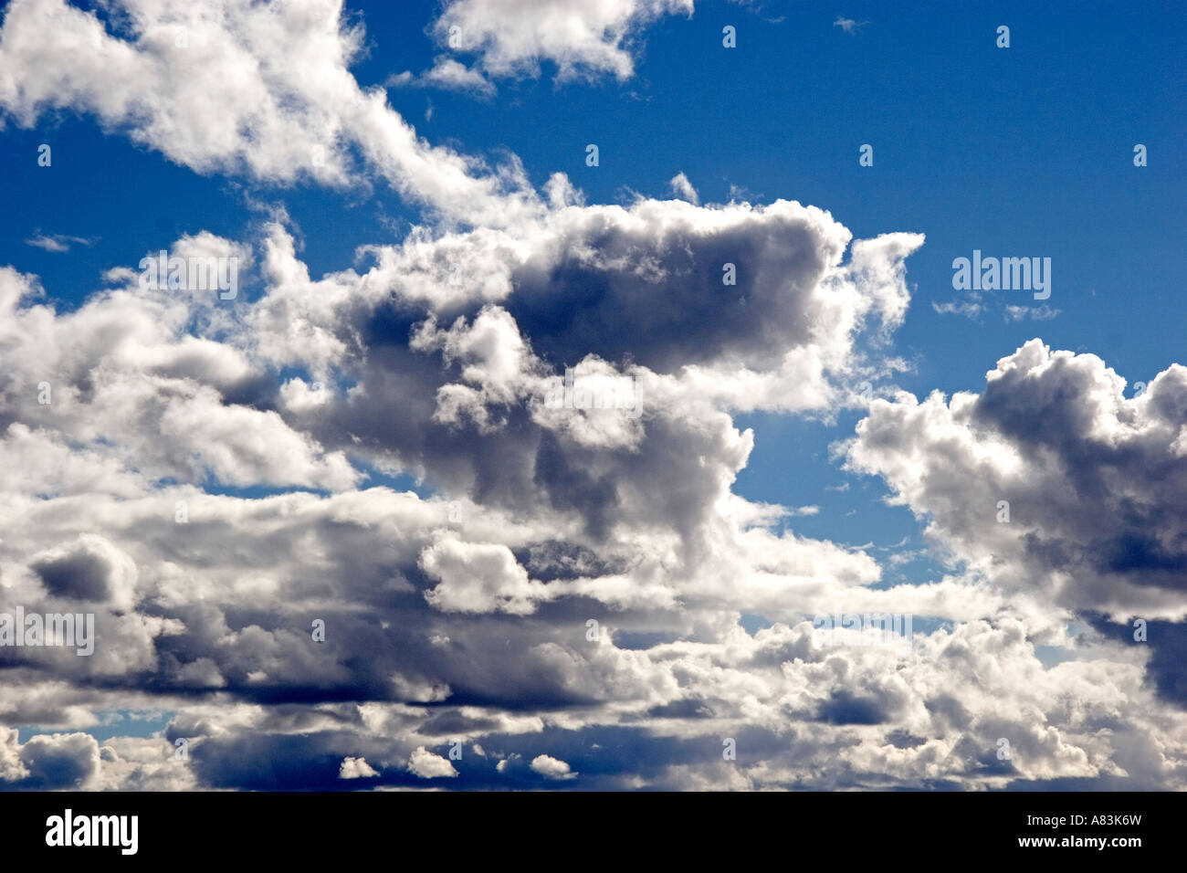 Cumulus nuvole contro un cielo blu Foto Stock