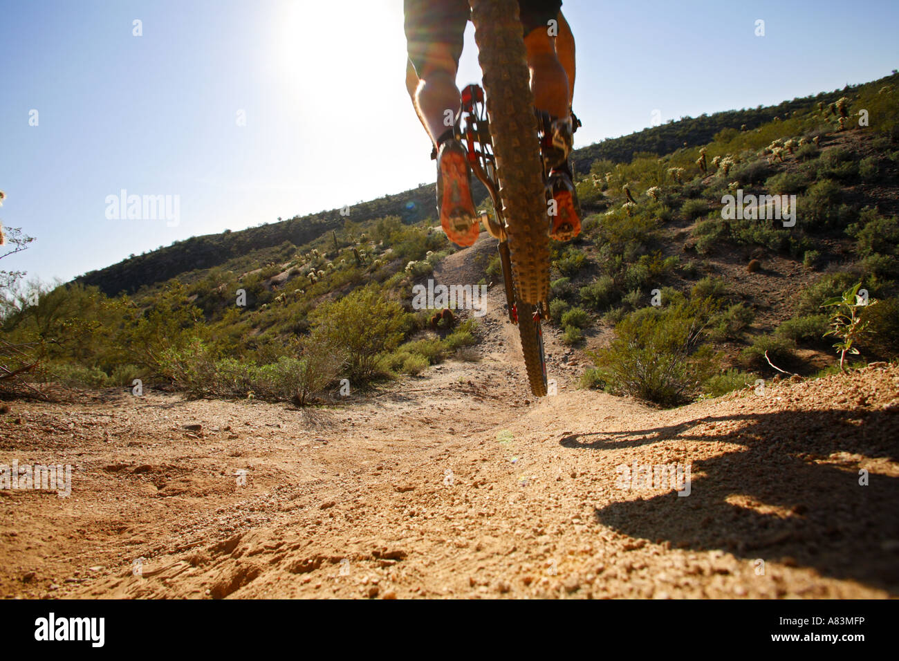 Un mountain biker salta fuori di una sporgenza sulla tecnica di un loop della gara competitiva le vie A McDowell montagna Parco Regionale n Foto Stock