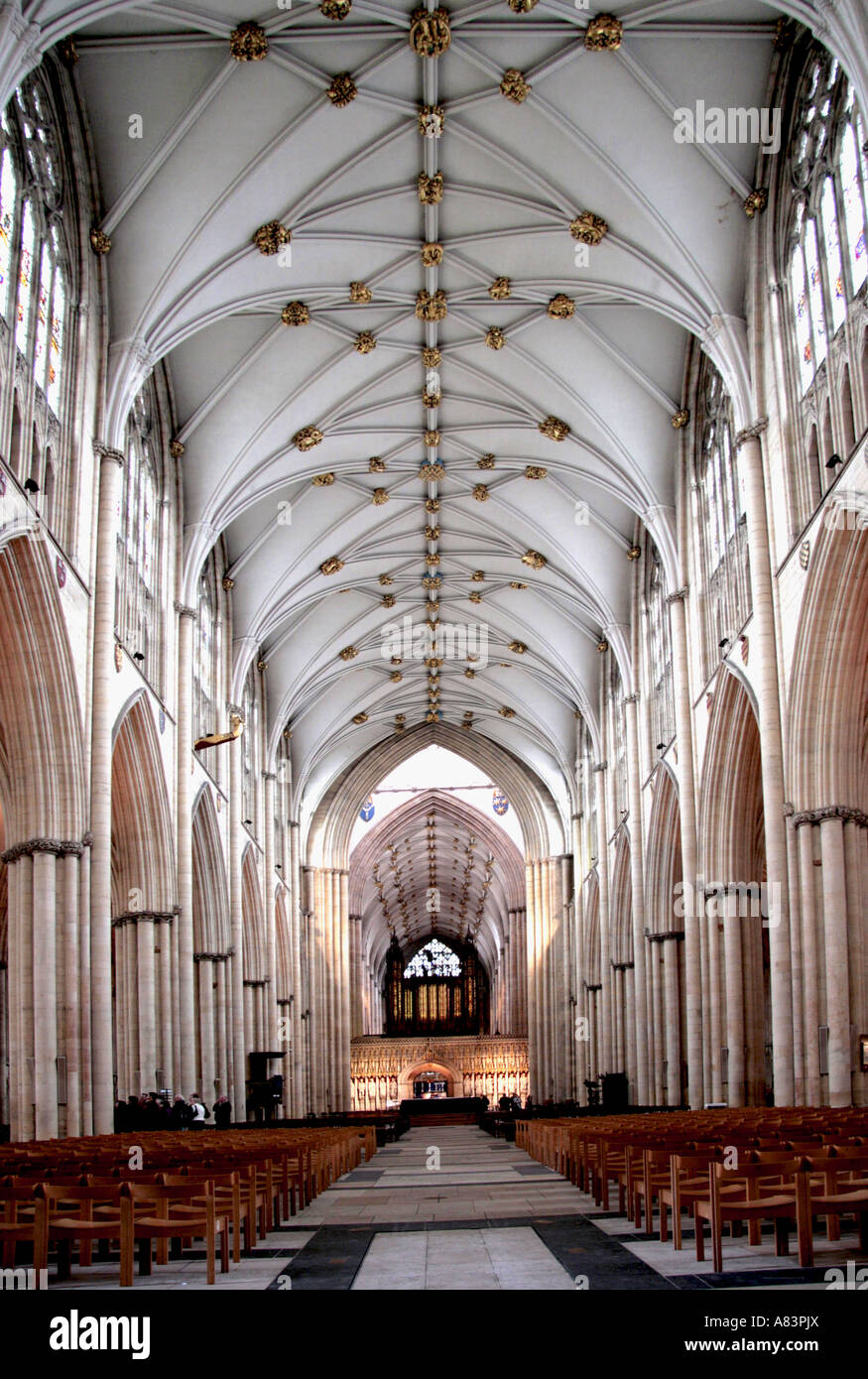 La navata centrale, York Minster Foto Stock