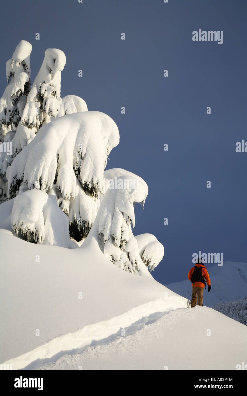 Escursioni con le racchette da neve in Turnagain Pass Chugach National Forest Alaska Modello rilasciato Foto Stock