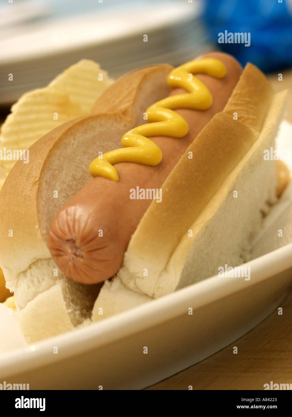 Un Hot Dog in un panino con mostarda su una piastra Foto Stock